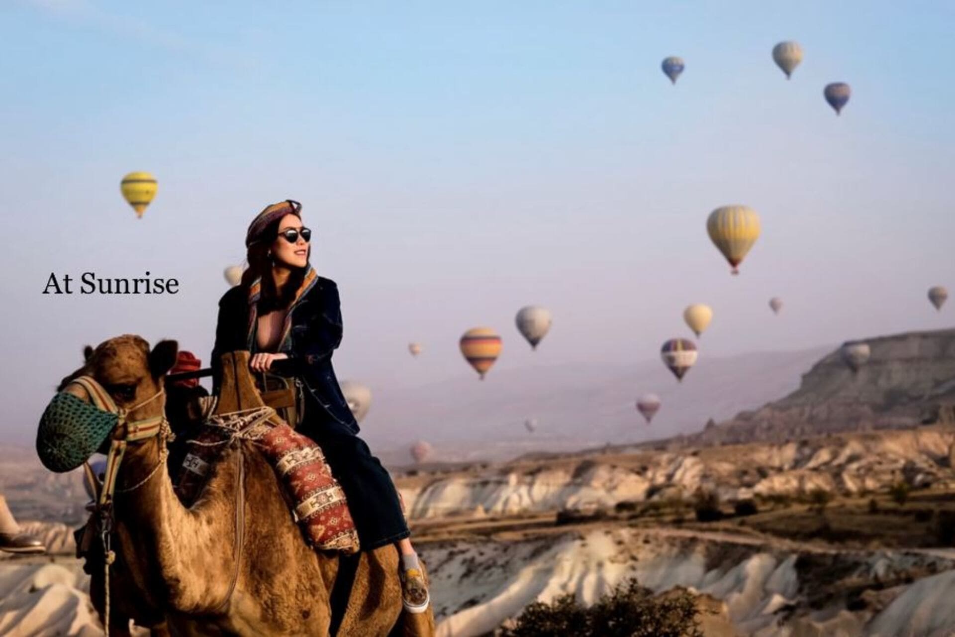 At Binme Turu Görsel 3